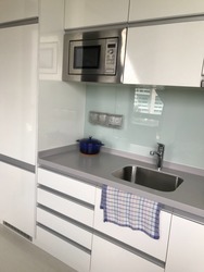 Harbour Suites (D4), Apartment #160653882